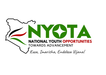 How to Apply for the Nyota Fund Youth Grant and Training Project