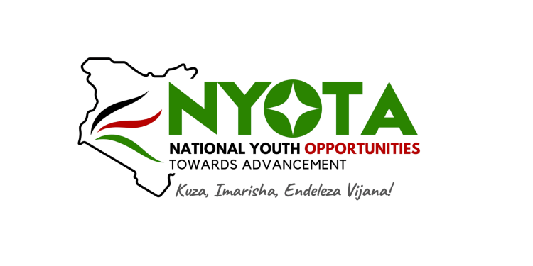 How to Apply for the Nyota Fund Youth Grant and Training Project