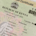 Step-by-Step Guide on How To Replace A Lost Logbook in Kenya