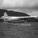 Comprehensive Guide to Aviation Insurance: Protecting Your Aircraft and Operations