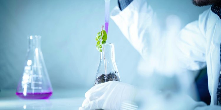 Top Soil Testing Companies in Kenya for 2026