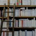 How to Start a Successful Bookshop Business in Kenya