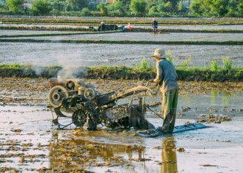 Comprehensive Guide to Agriculture Insurance: Protecting Your Farm in Uncertain Times