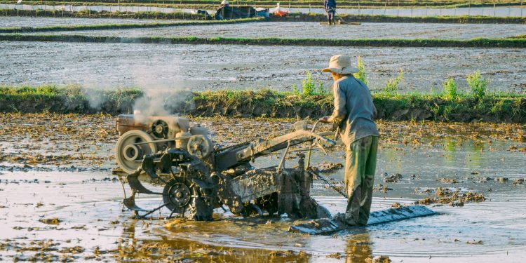 Comprehensive Guide to Agriculture Insurance: Protecting Your Farm in Uncertain Times