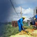 KPLC: All Kenya Power Branches and Their Contacts