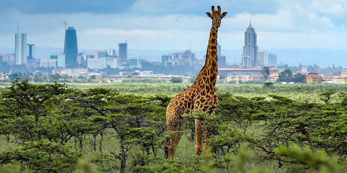 Top 10 Tourist Attractions in Nairobi: Must-See Spots in Kenya’s Capital