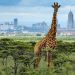 Top 10 Tourist Attractions in Nairobi: Must-See Spots in Kenya’s Capital