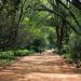 Fun and Affordable Student Activities in Nairobi | Top 10 Budget-Friendly Spots