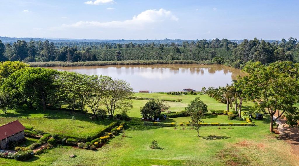 Perfect Date Ideas for Introverts in Nairobi | Quiet and Intimate Experiences