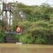 Top 10 Exciting Weekend Activities in Nakuru
