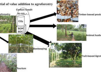 EKO Spring Asia Pte. Ltd. Singapore Agribusiness Profile