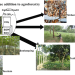 EKO Spring Asia Pte. Ltd. Singapore Agribusiness Profile