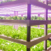 Green Keyboard: Singapore Sole Proprietor in Agriculture and Trade