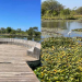 Sajorec Botanical Garden Entry Fees