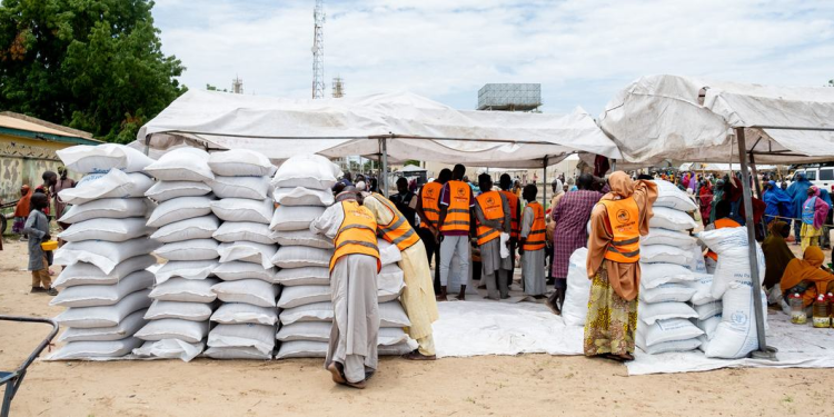 Bags of grains are distributed by WFP in Mafa, in Borno State, Nigeria. (WFP)