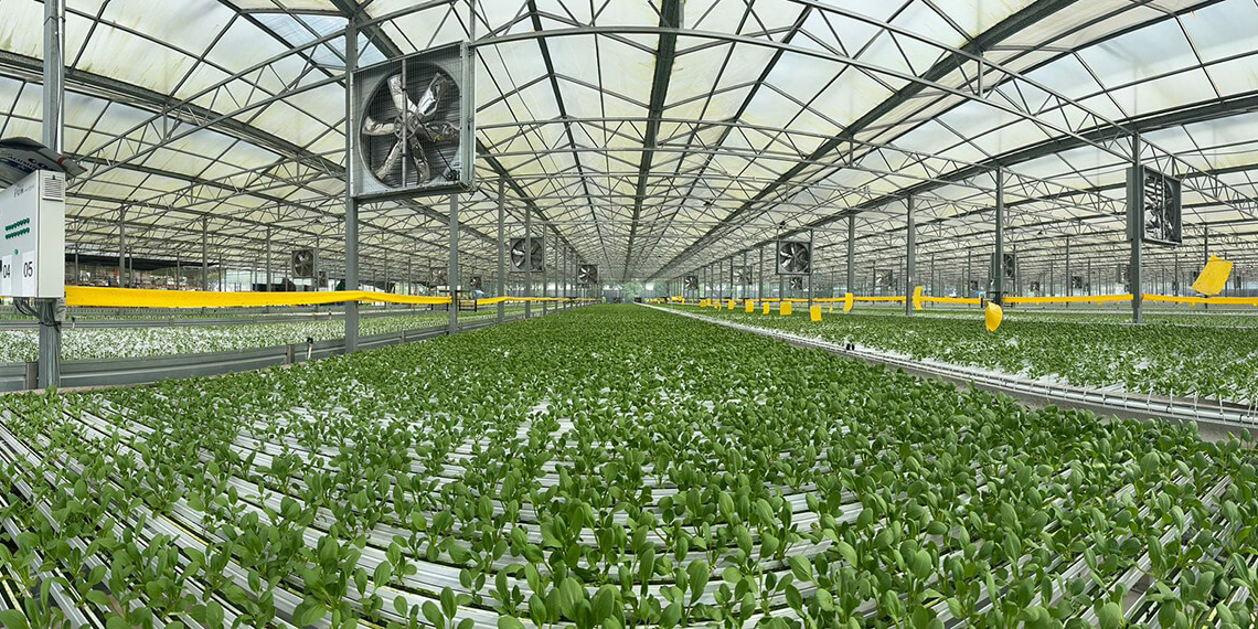 ARISTA FARMING PTE. LTD.