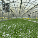 ARISTA FARMING PTE. LTD.