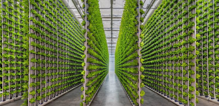 Urban agriculture and the rise of the vertical farming market in smart cities