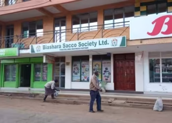 Biashara Sacco Contacts and Loans Guide