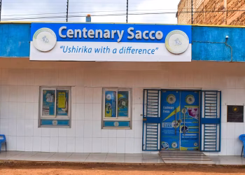 Centenary Sacco Contacts and Loans Guide