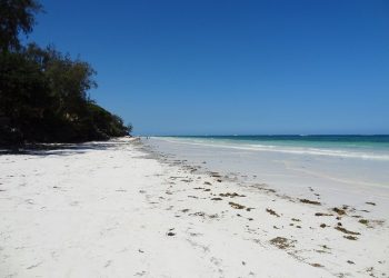 Diani Beach Coastal Paradise on Kenya’s Indian Ocean