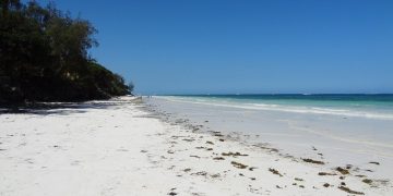 Diani Beach Coastal Paradise on Kenya’s Indian Ocean