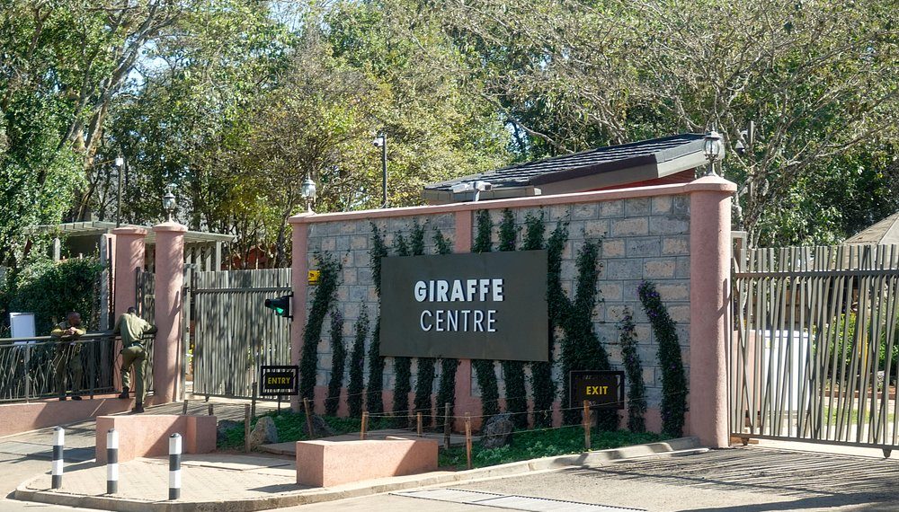 The Giraffe Centre Nairobi Conservation, Tickets and Visitor Guide