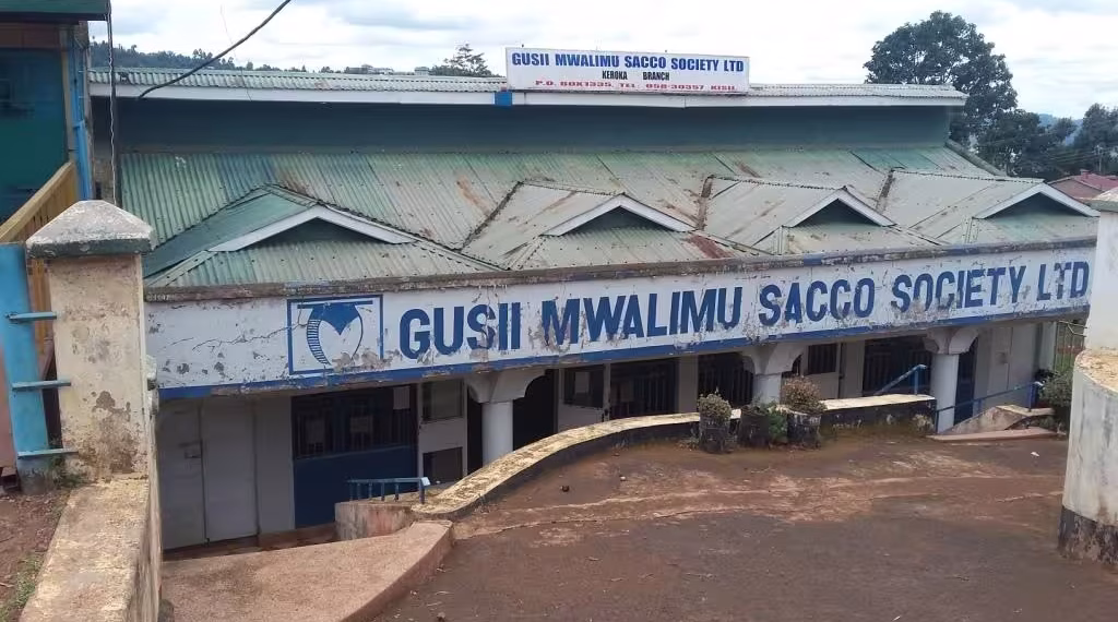 Gusii Mwalimu Sacco Contacts and Branches Guide
