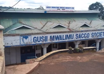 Gusii Mwalimu Sacco Contacts and Branches Guide