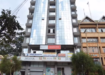 Mentor Sacco Contacts and Paybill Guide