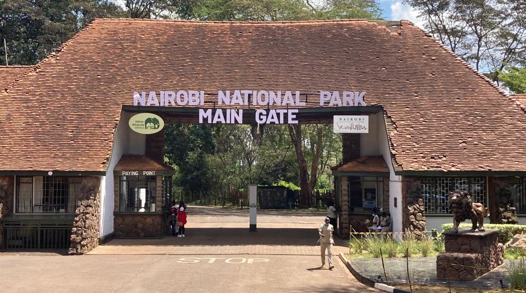 Nairobi National Park Wildlife Sanctuary Near Kenya’s Capital