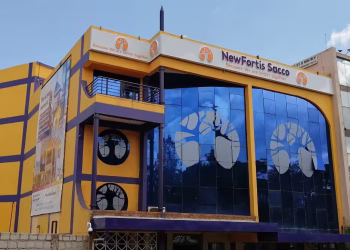 New Fortis Sacco Contacts and Loans Guide