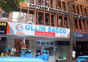 Ollin Sacco Contacts and Loans Guide