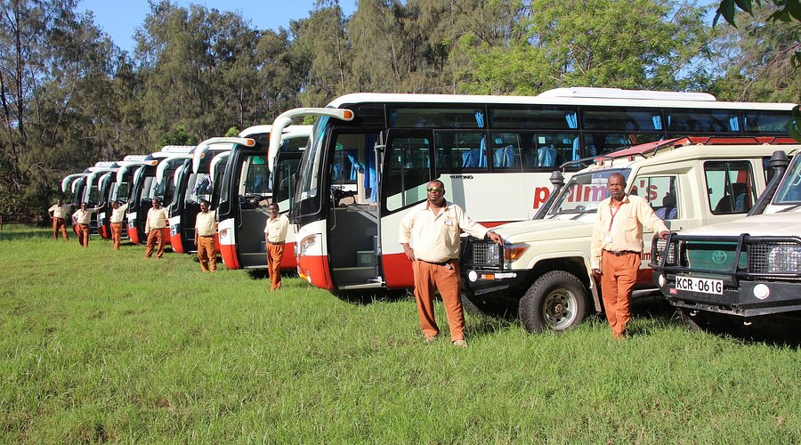 Pollman’s Tours & Safaris