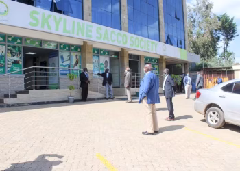 Skyline Sacco Contacts and Loans Guide