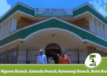 Tai Sacco Contacts and Paybill Guide