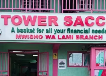 Tower Sacco Contacts and Loans Guide