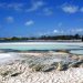 Watamu Beach Eco Escape on Kenya’s North Coast