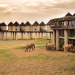 Kenya Travel Tips for Safe, Smart and Memorable Trips