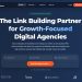 Stan Ventures Review: Best Link Building Partner for Agencies