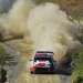 Safari Rally Kenya Finale Set for Showdown