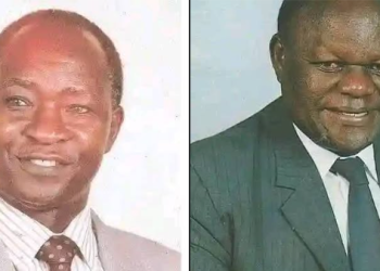 Budalangi 1992 Election Results