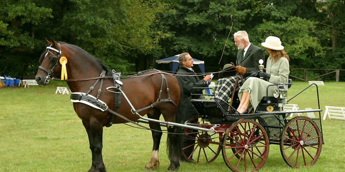Horse Carriage Hire in Nairobi: Full Price Guide & Packages