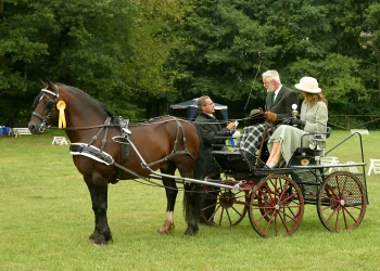 Horse Carriage Hire in Nairobi: Full Price Guide & Packages