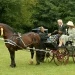 Horse Carriage Hire in Nairobi: Full Price Guide & Packages