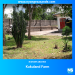 Kukuland Farm Kenya poultry farming and agricultural engineering services