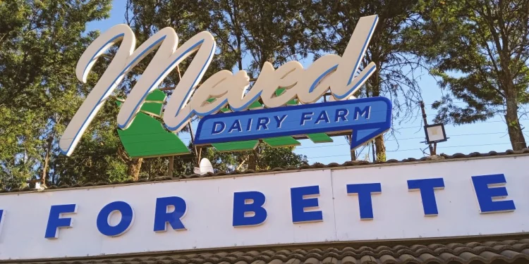 Meved Dairy Farm Success Story: How One Farm Produces 1,200 Litres of Milk Daily