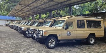 Roy Safaris