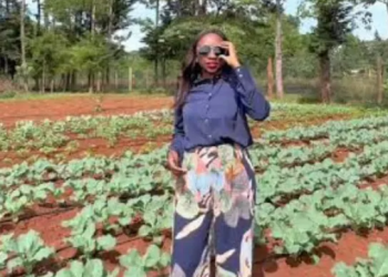 Charlene Ruto Business Ventures