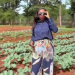 Charlene Ruto Business Ventures
